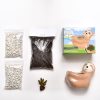 supplies inside sloth gardening terrarium kit