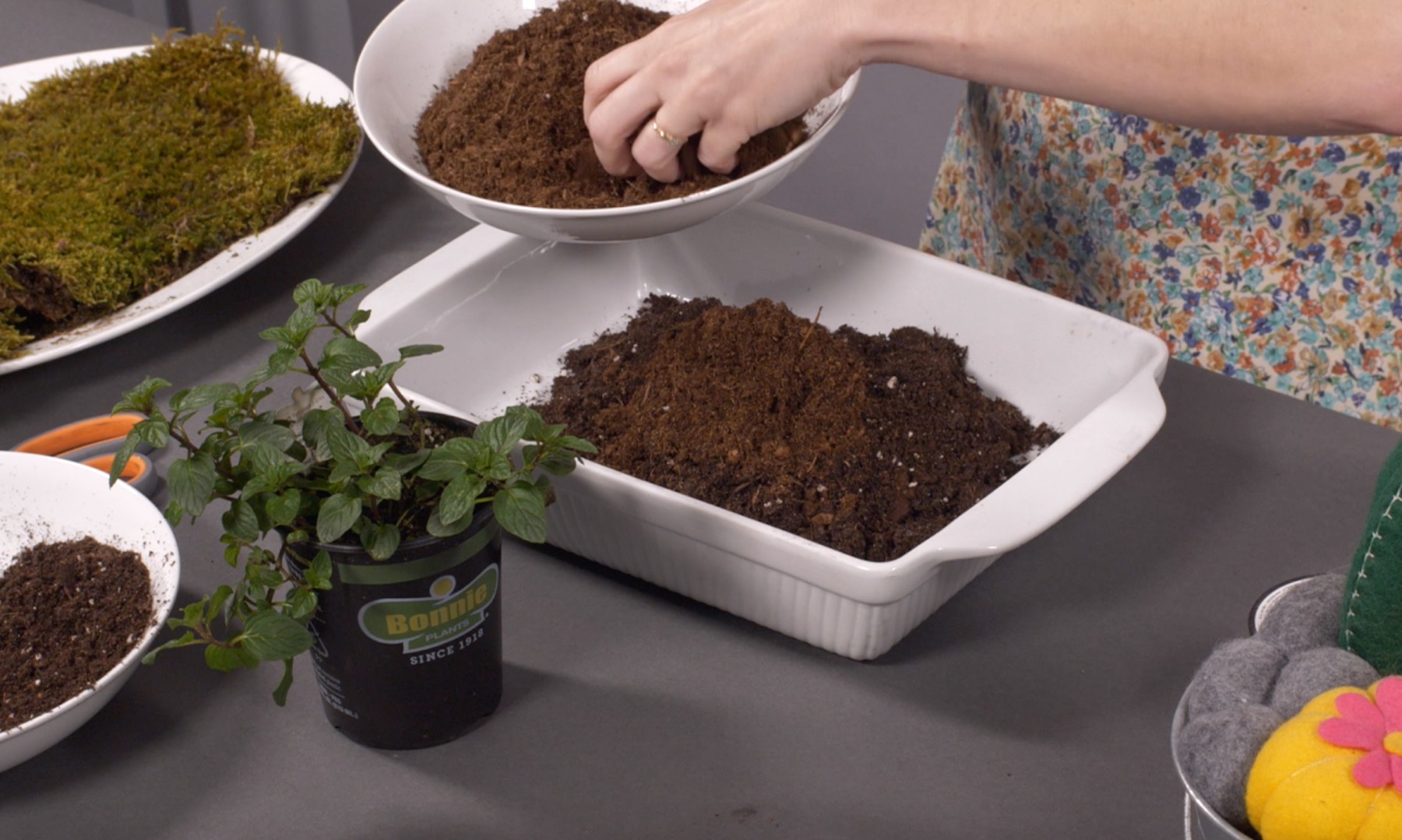add peat moss to the bonsai soil for kokedamas