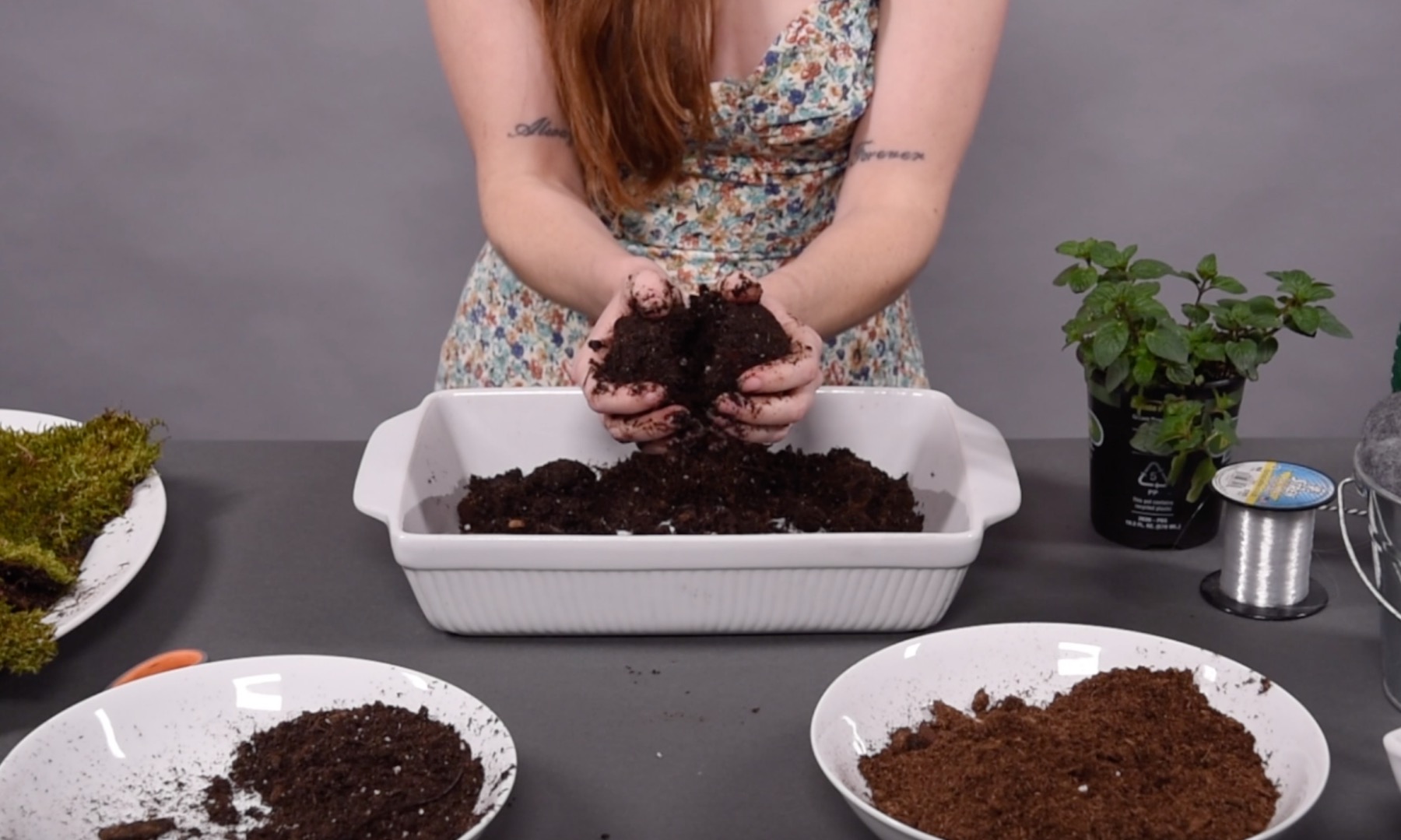 split the mud ball in half and place the plants inside