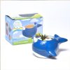 Packaging Narwhal DIY terrarium gardening square