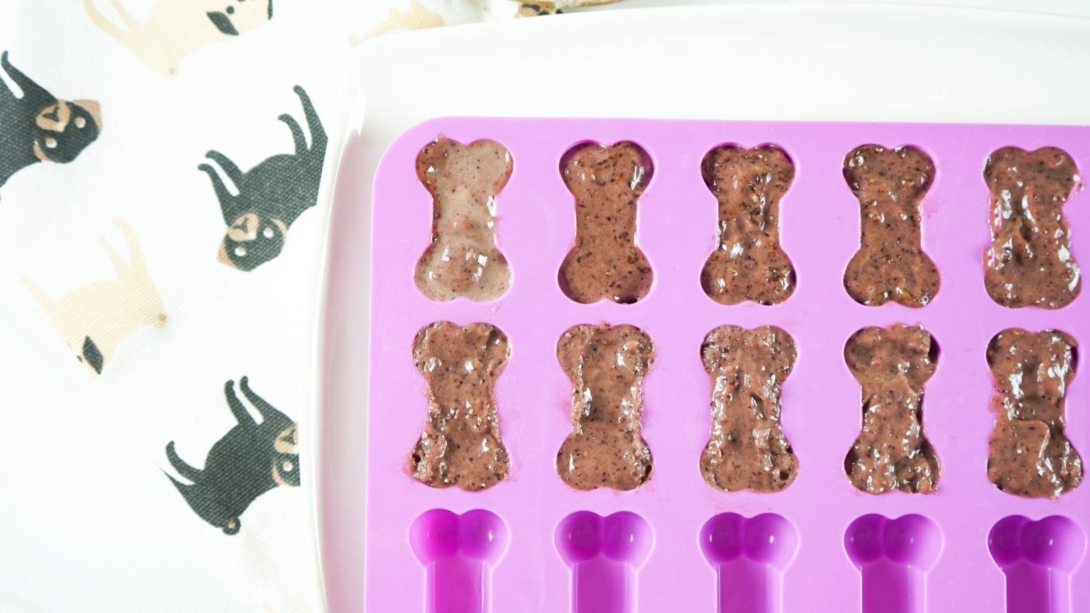 Blueberry & Coconut Oil Gummy Dog Treat Recipe