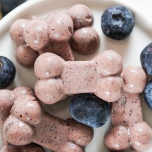 blueberry and coconut oil gummy homemade dog treats_square