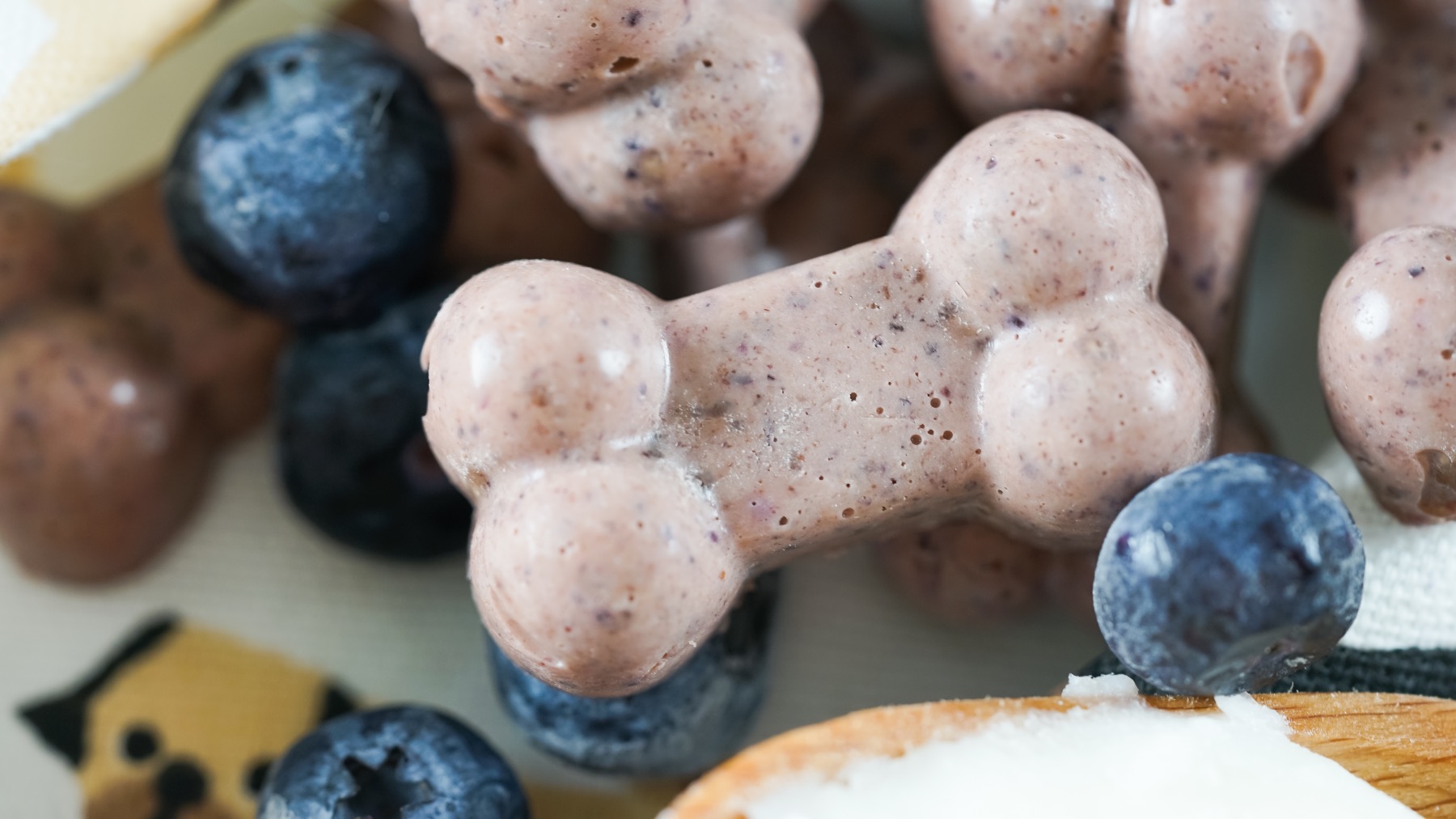 detail of frozen blueberry dog treats recipe