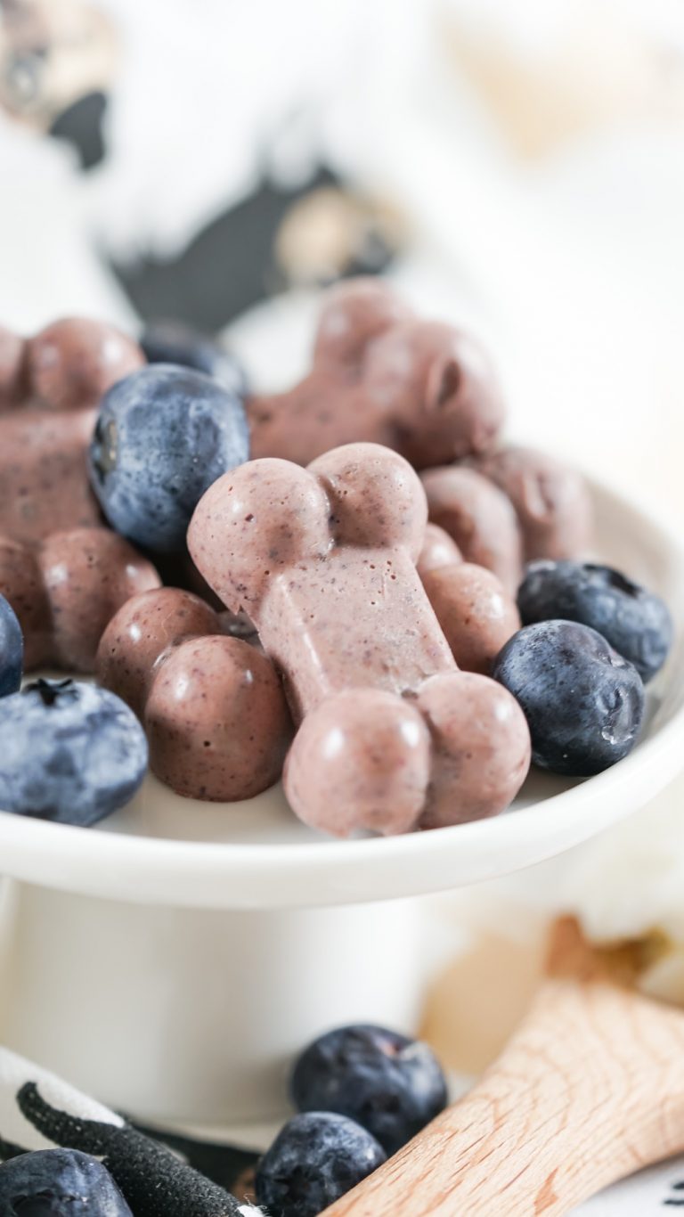 Blueberry & Coconut Oil Gummy Dog Treat Recipe