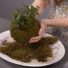 finished kokedama craft tutorial pop shop america square