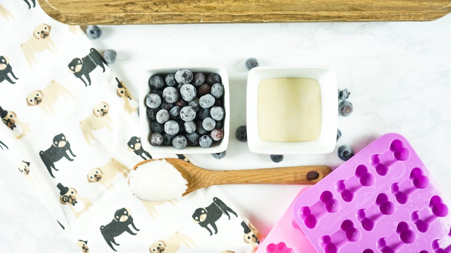 Blueberry & Coconut Oil Gummy Dog Treat Recipe