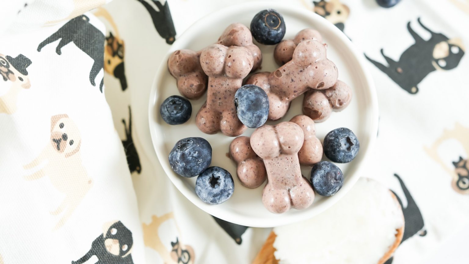 Blueberry & Coconut Oil Gummy Dog Treat Recipe