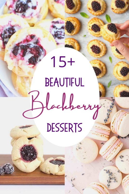 15+ beautiful blackberry desserts recipe round up