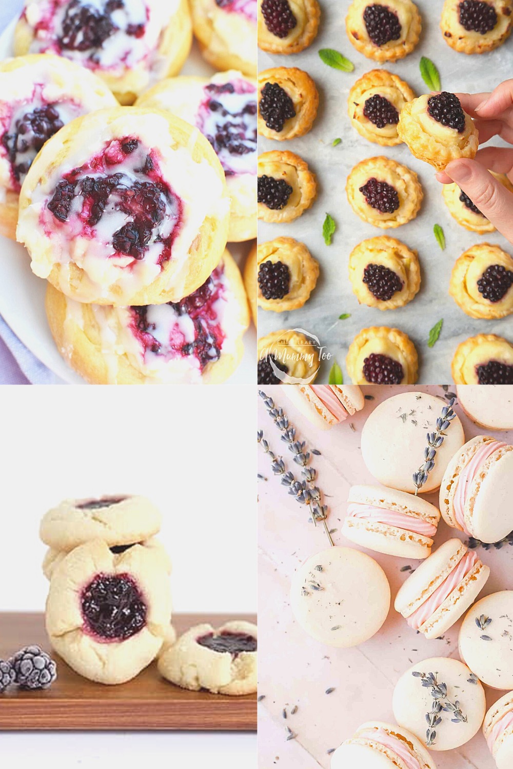 15+ beautiful dessert recipes with blackberries