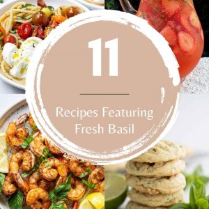 11 fresh basil recipes roundup
