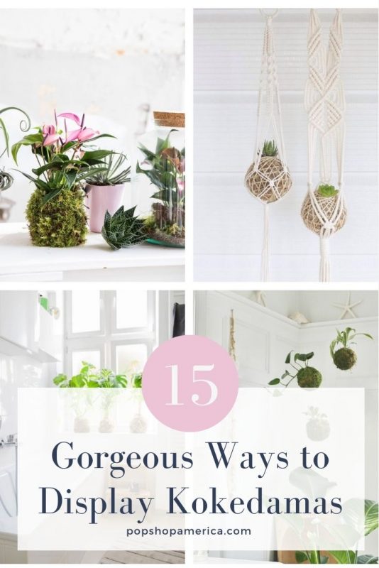 15 Gorgeous Ways to Display Kokedamas Moss Planters