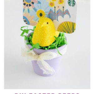 DIY Easter Peeps Place Card Holders Pinterest