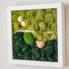 finished DIY Moss wall art