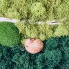 DIY Moss wall art close up