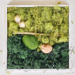 DIY Moss wall art product overview