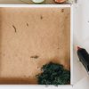 DIY Moss wall art back
