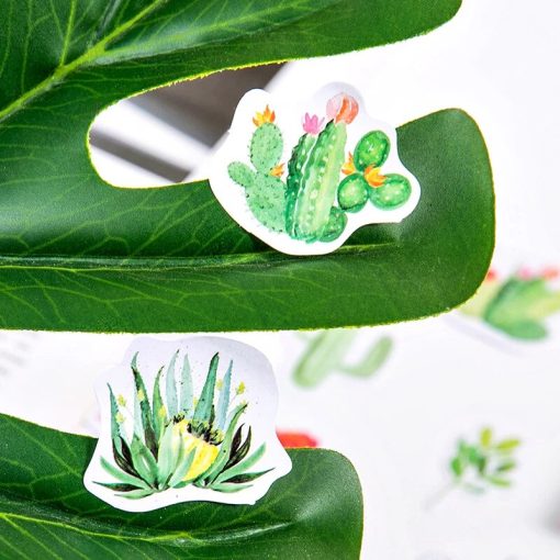 close up of cactus and succulent stickers