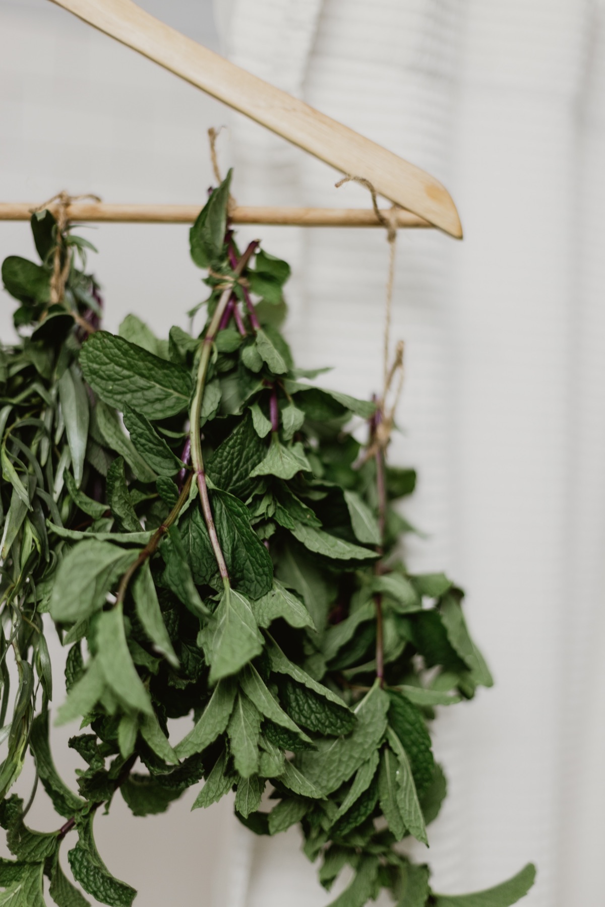 close up of drying fresh herbs tutorial
