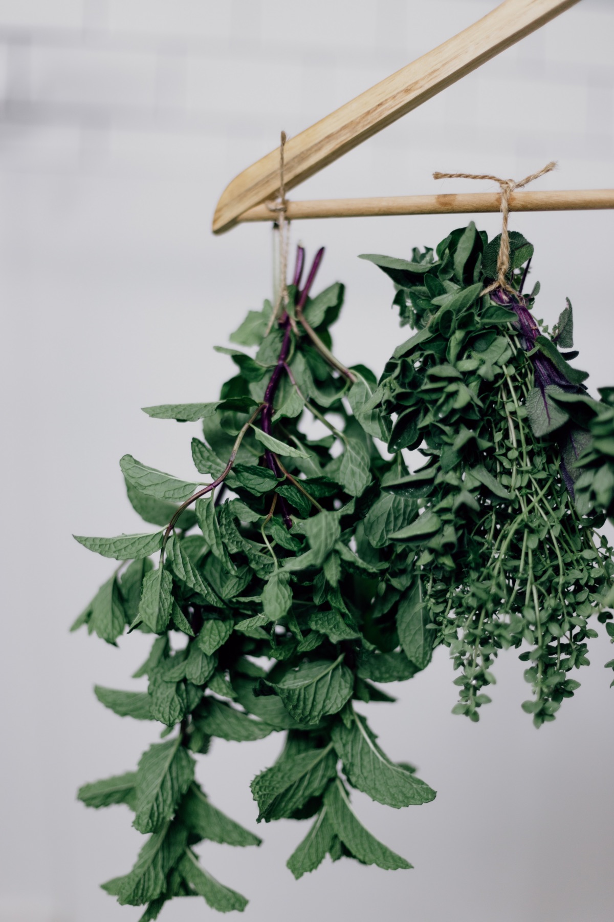 detail of hanging fresh herbs upside down to dry