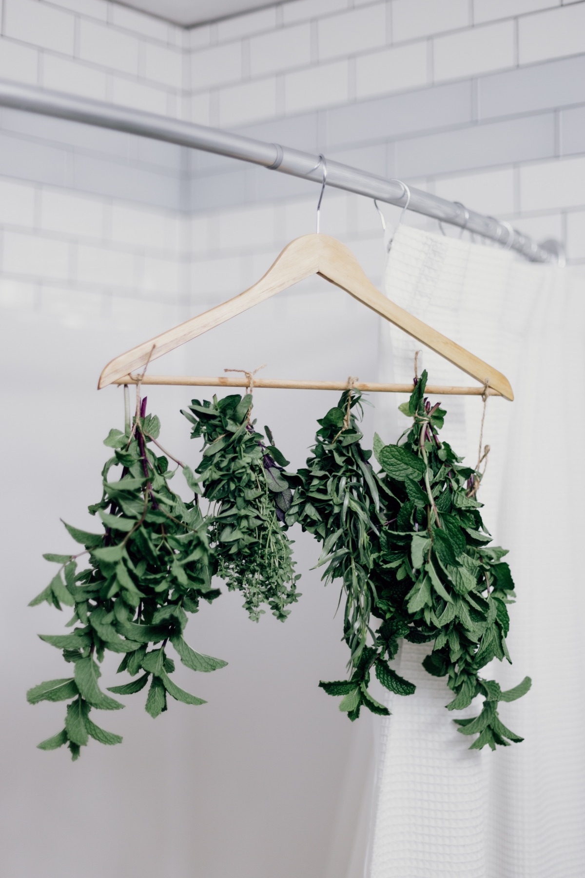 hang fresh herbs in a dry place