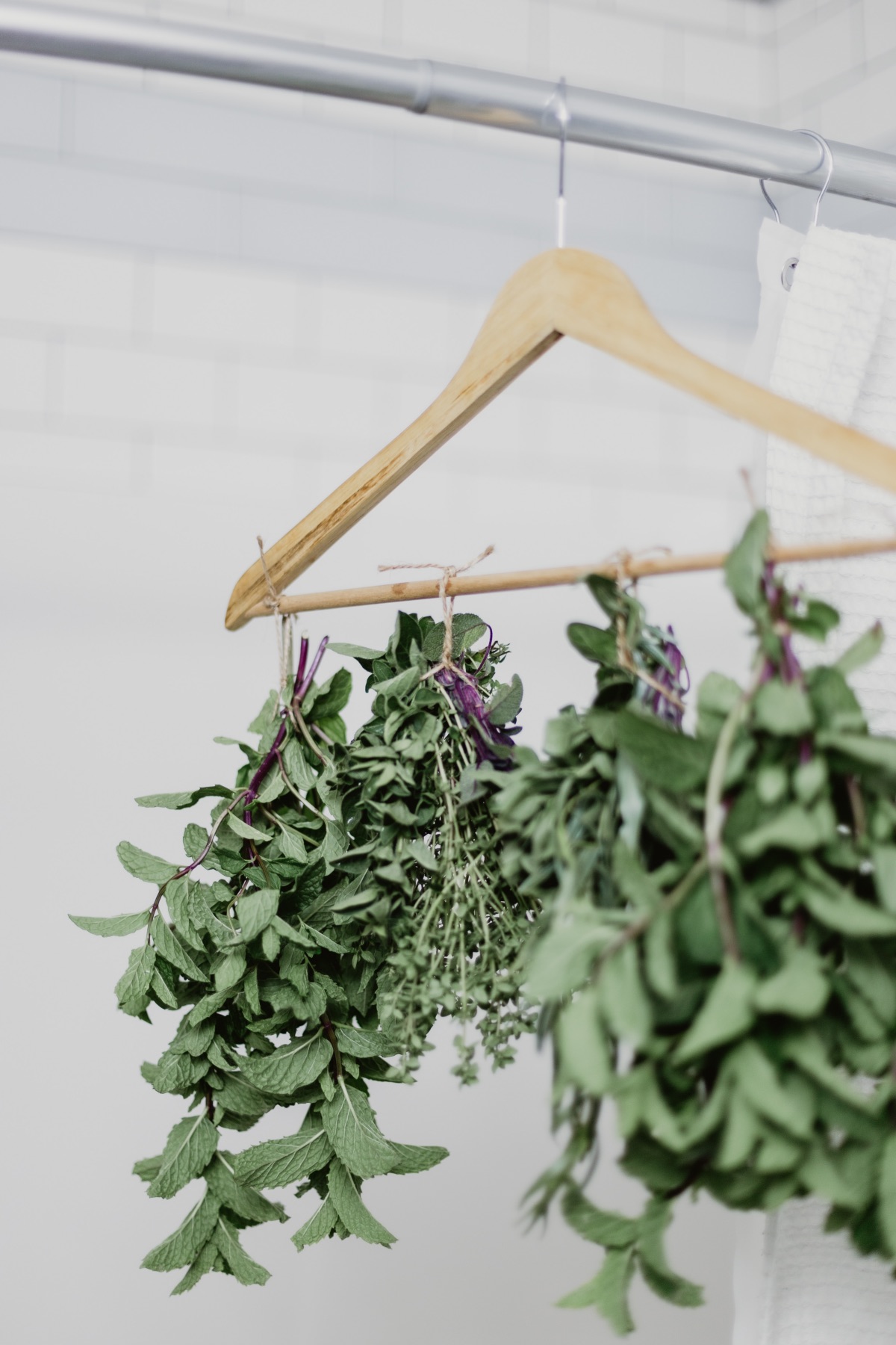 how to dry fresh herbs tutorial