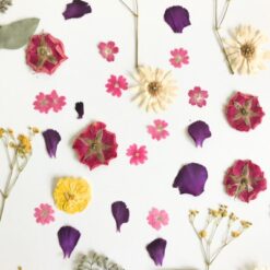 Floral DIY Kits