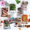flower and plant sticker packs