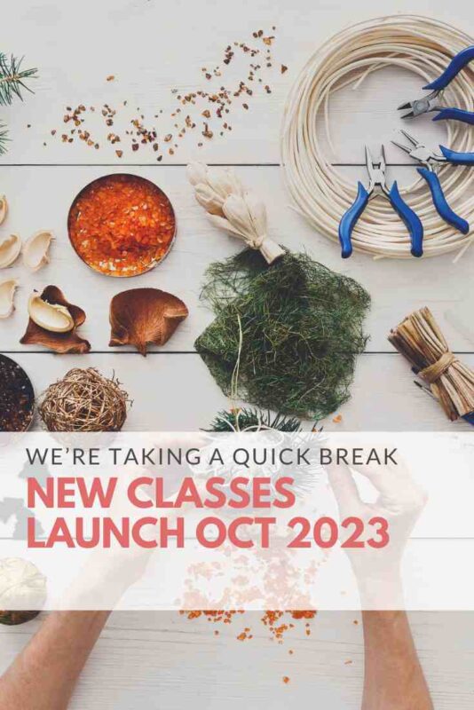 new classes launching soon