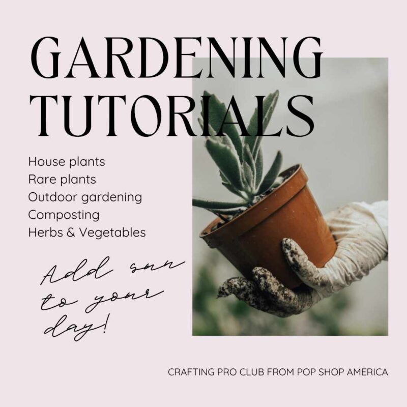 gardening tutorials by pop shop america
