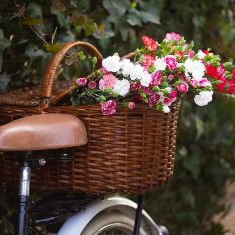 bicycle with flowers pop shop america square