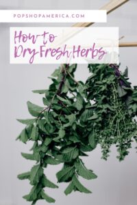 How to Dry Fresh Herbs at Home